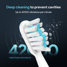 Load image into Gallery viewer, 2 Pack Sonic Electric Toothbrushes