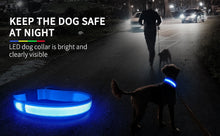 Load image into Gallery viewer, MASBRILL Luminous Waterpoof Safety Collars