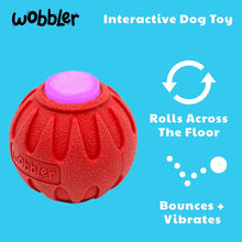 Load image into Gallery viewer, Wobbler Interactive Dog Toy
