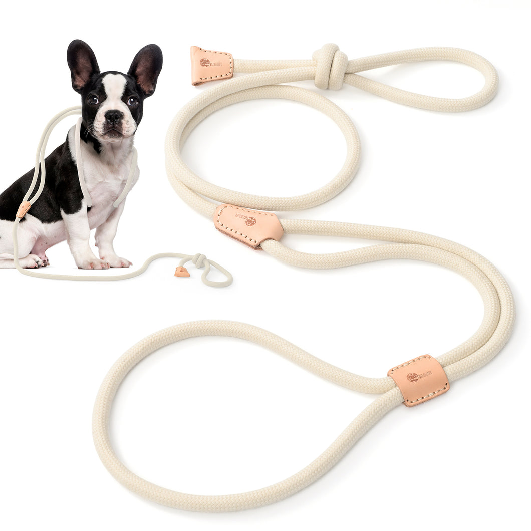 All in one Dog Lead