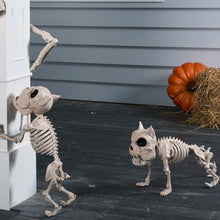 Load image into Gallery viewer, 2pc 16&quot; Poseable Dog Skeleton
