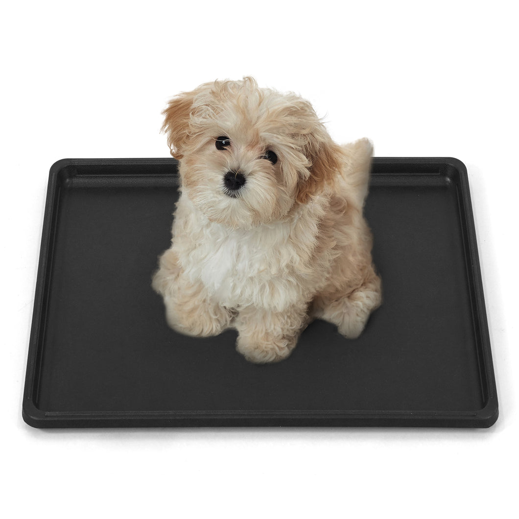 Replacement Tray for Dog Crate