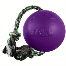 Load image into Gallery viewer, Romp-n-Roll Rope &amp; Ball Dog

