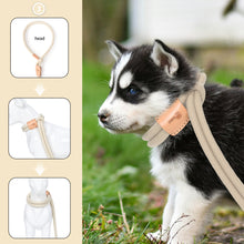 Load image into Gallery viewer, All in one Dog Lead
