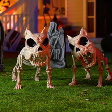Load image into Gallery viewer, 2pc 16&quot; Poseable Dog Skeleton
