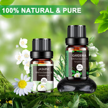 Load image into Gallery viewer, Essential Oils Set
