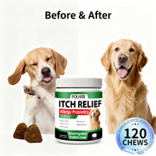 Load image into Gallery viewer, Probiotic Chews for Dogs
