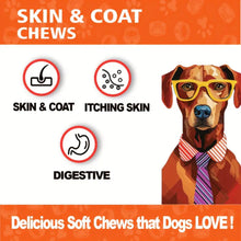Load image into Gallery viewer, Skin &amp; Coat Chews
