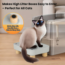 Load image into Gallery viewer, Cat Litter Ramp
