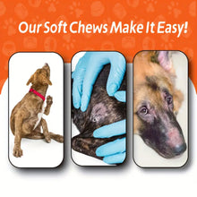 Load image into Gallery viewer, Skin &amp; Coat Chews
