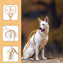 Load image into Gallery viewer, All in one Dog Lead
