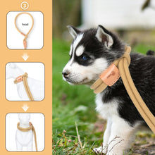 Load image into Gallery viewer, All in one Dog Lead
