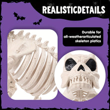 Load image into Gallery viewer, 2pc 16&quot; Poseable Dog Skeleton
