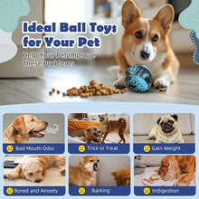 Load image into Gallery viewer, Interactive Freezable Dog Treat Ball
