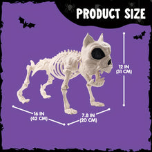 Load image into Gallery viewer, 2pc 16&quot; Poseable Dog Skeleton
