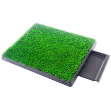 Load image into Gallery viewer, 25&quot; x 20&quot; Pet Potty Training Toilet W/Tray
