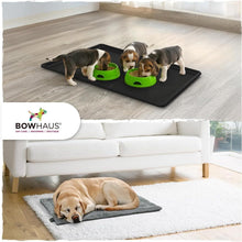 Load image into Gallery viewer, Replacement Pad &amp; Tray for Kennel
