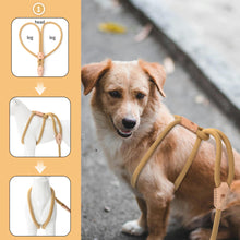 Load image into Gallery viewer, All in one Dog Lead
