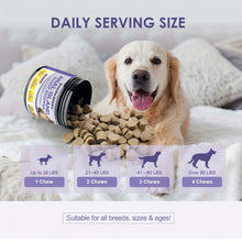 Load image into Gallery viewer, Anal Gland Support
