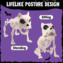 Load image into Gallery viewer, 2pc 16&quot; Poseable Dog Skeleton
