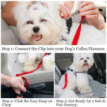 Load image into Gallery viewer, Pet Seat Belt
