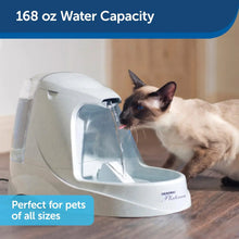 Load image into Gallery viewer, PetSafe Water Fountain
