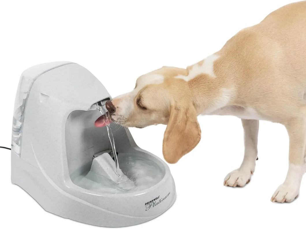 PetSafe Water Fountain