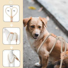 Load image into Gallery viewer, All in one Dog Lead
