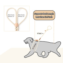 Load image into Gallery viewer, All in one Dog Lead
