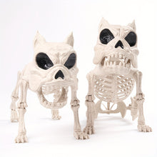 Load image into Gallery viewer, 2pc 16&quot; Poseable Dog Skeleton

