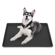 Load image into Gallery viewer, Replacement Tray for Dog Crate
