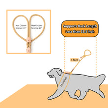 Load image into Gallery viewer, All in one Dog Lead
