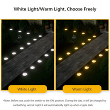 Load image into Gallery viewer, 8pc Solar LED Dog Paw Path Light
